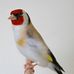 Profile Picture of Djims Chardon (@djims.chardon) on Facebook