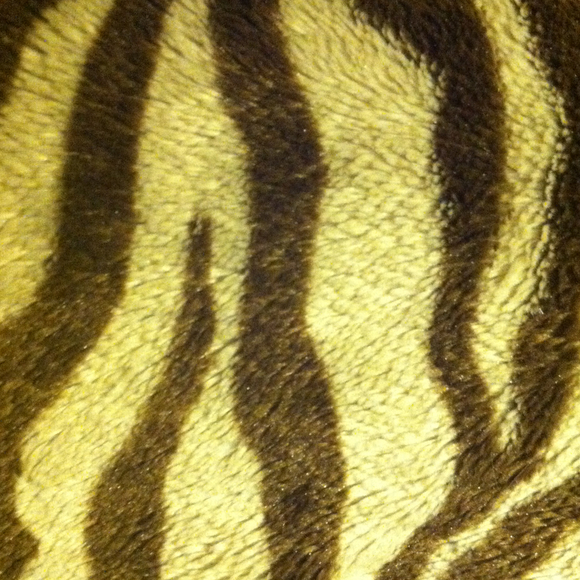 Profile Picture of Joellen Kimmey (@woowoo2129) on Poshmark