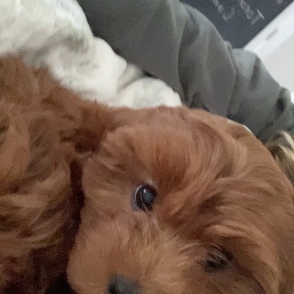 Profile Picture of Lucy Clark (@lucyrclark44) on Poshmark