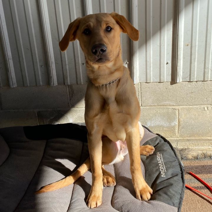 Profile Picture of Gil Edwards (@giledwards) on Tiktok