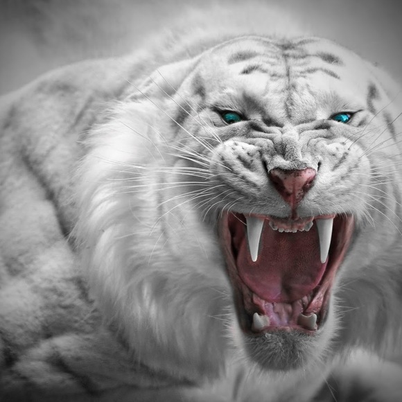 Profile Picture of Kyle Matye (@kylematye) on Poshmark