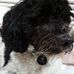 Profile Picture of Floyd Franklin (@floyd.franklin.182) on Facebook
