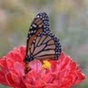 Profile Picture of Andrew Atsma (@andrewatsma7362) on Youtube