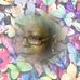 Profile Picture of Debra McRae (@debra.mcrae.188) on Facebook