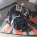 Profile Picture of Michelle Newall (@michelle.newall.3762) on Facebook