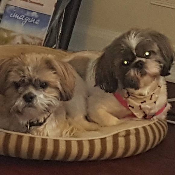 Profile Picture of Wes Sprinkel (@wessprinkel) on Poshmark