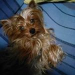 Profile Picture of Rita Tabone (@tabonerita) on Instagram