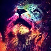 Profile Picture of Joe Barnes (@joebarnes247) on Pinterest