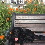Profile Picture of Alice Oram And Bobby (@alice.oram) on Instagram