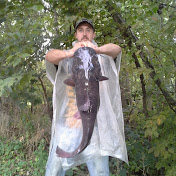 Profile Picture of Scott Peppel (@scottpeppel3280) on Youtube