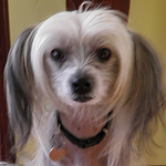 Profile Picture of Ness Mitchell (@ness mitchell) on Flickr