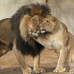 Profile Picture of Tony Dover (@tony.dover.338) on Instagram