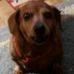 Profile Picture of Phyllis Shoop (@phyllis.shoop.7) on Facebook