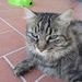 Profile Picture of Mario Sacchetti (@marios2206) on Pinterest