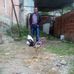 Profile Picture of Raul Clavijo (@raul.clavijo.98031) on Facebook