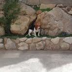 Profile Picture of Mari Calderone (@mari.calderone.3) on Facebook