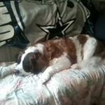 Profile Picture of Ralph Mutt Garrett (@ralph.garrett.94) on Instagram