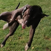 Profile Picture of James Pittman (@JamesPittman-xb2ck) on Youtube