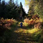 Profile Picture of Andrew Danson (@danson.andrew) on Instagram