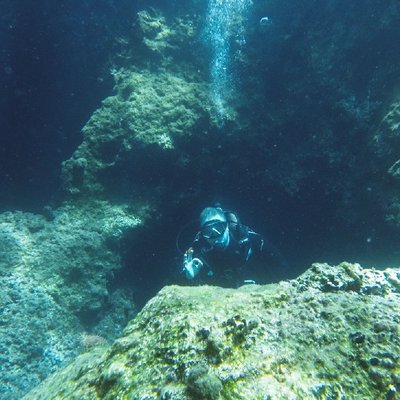 Profile Picture of Stephen Pendleton (@stevependleton) on Twitter