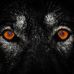 Profile Picture of Josh Alexander (@josh.alexander.79230305) on Facebook