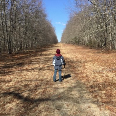 Profile Picture of Brady Travis (@manicbear22) on Twitter