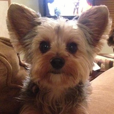 Profile Picture of Jeff Stansberry (@stans_cpa) on Twitter