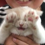 Profile Picture of Oliver Lowe (@_oliver_lowe_) on Instagram