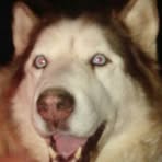 Profile Picture of Dwayne Raye (@dwayne.raye.50) on Facebook