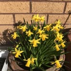 Profile Picture of Merle Mathews (@Merle-Mathews) on Facebook