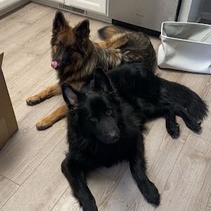 Profile Picture of peterfiorita5 (@peterfiorita5) on Tiktok