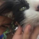 Profile Picture of Alexandra Valdez Bayudang (@Alexandra-Valdez-Bayudang) on Facebook