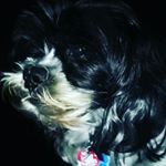 Profile Picture of chachi (@kendallsquires1769) on Instagram