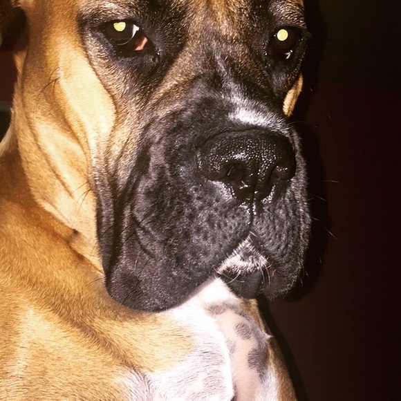 Britney Fern - Poshmark Profile Picture of Britney Fern (@beelynnlou) on Poshmark