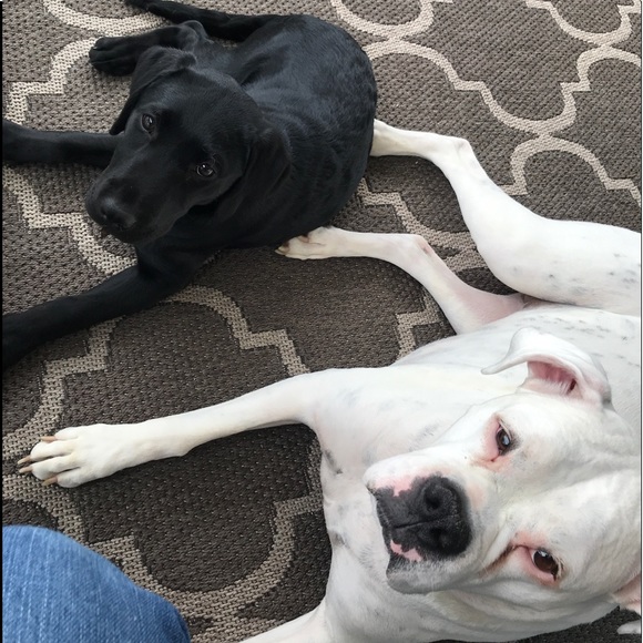 Profile Picture of Kelli Waggett (@kwagg16) on Poshmark