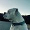 Profile Picture of Steven Douglas Wickett (@steven.d.wickett) on Facebook
