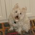 Profile Picture of Scott Coppenbarger (@scott.coppenbarger.9) on Facebook