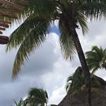 Profile Picture of Paul Zaragoza (@paul.zaragoza1) on Instagram