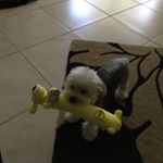 Profile Picture of Paul Becky Piazza (@paulbeckypiazza) on Instagram