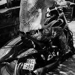 Profile Picture of Tommy Edlund (@tommy_t_bone) on Instagram