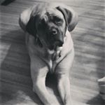 Profile Picture of Paula (Toney) Straight (@pastr8) on Instagram