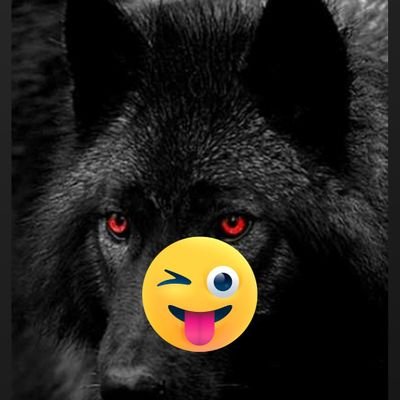 Profile Picture of Richard Lightsey (@richardlightse5) on Twitter