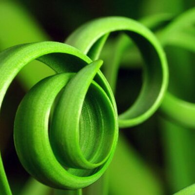 Jerome London - Twitter Profile Picture of Jerome London (@samsundance) on Twitter