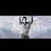 Profile Picture of Alex Ber (@alex.ber.395) on Facebook