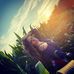 Profile Picture of Samantha Jo Pritchard (@samanthajo.pritchard) on Facebook