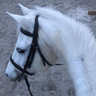 Cali Mitchell - Facebook Profile Picture of Cali Mitchell (@cali.mitchell.56) on Facebook