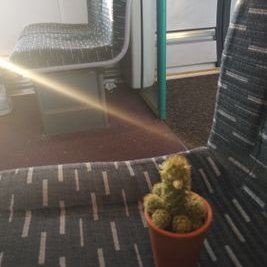 Profile Picture of George Saxby (@GeorgeSaxby4) on Twitter