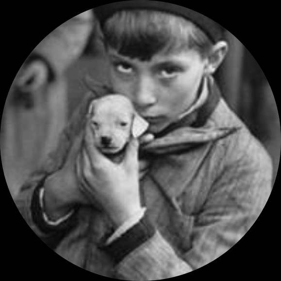 Profile Picture of Jacob Jageman (@jacobdsf34) on Poshmark