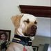 Profile Picture of Steve Setzer (@steve.setzer.902) on Facebook