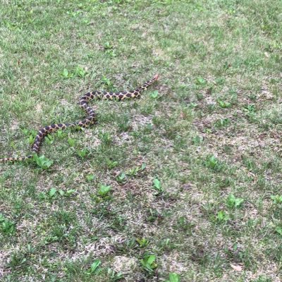 Profile Picture of Nate Rucker (@nrucker15) on Twitter